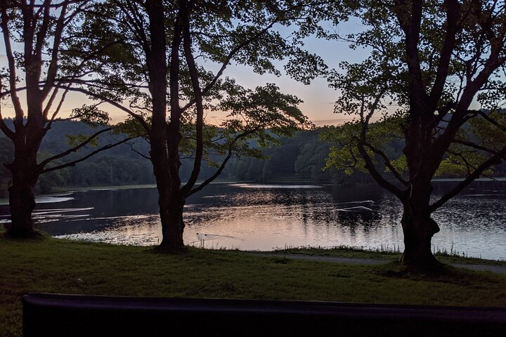 Moses H. Cone Park: Horse & Carriage Ride - Photo 1 of 6